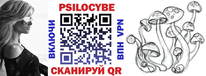Купить закладки Нолинск Псилоцибиновые грибы мицелий